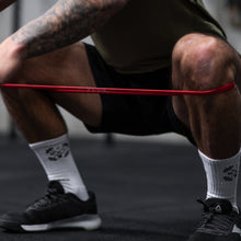 Load image into Gallery viewer, TWL - 12&quot; Short Resistance Power Bands (2PK)
