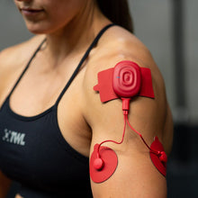 Load image into Gallery viewer, FALSE
